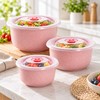 3-Piece Wheat Straw Food Storage Bowl Set for Meals –