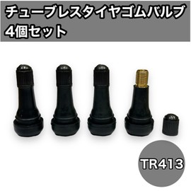 Toolsisland Tire Rubber Valve, Air Valve, Tubeless, 4-Piece Set, TR413