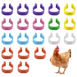 20Pcs Chicken Leg Rings, 16mm Multicoloured Clip On Leg Rings, Numbered Chicken Identification Leg Bands, Poultry Leg Rings, for Chickens Ducks Hens Goose Poultry Large Fowl (Mixed Colors)