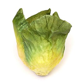 Factory Direct Craft Realistic Artificial Lettuce Head | 1 Piece