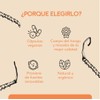 QUENUT | Adaptógeno Orgánico de Hongo Cordyceps en Cápsula Vegana