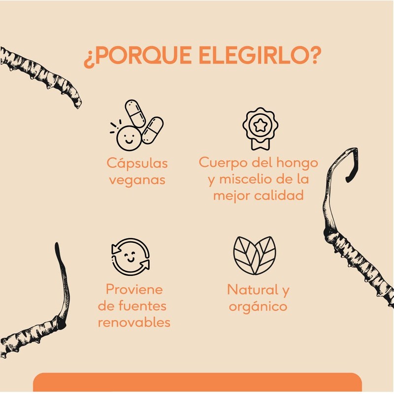 QUENUT | Adaptógeno Orgánico de Hongo Cordyceps en Cápsula Vegana