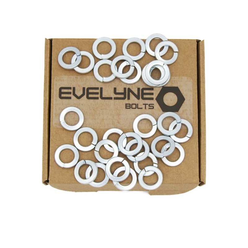 M10 (10mm) Spring Washer Set - Steel - Evelyne (Pack