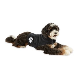 Bone Dry Pet Robe Collection, Embroidered Absorbent Microfiber Bath Robe with Adjustable Closure, for Dogs & Cats, Small, Black