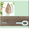 Wooden Herb Stripper Tool 8-Hole Leaf Separator with Cleaning Brush