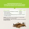 Cordyceps sinensis powder from 10:1 extract CS4-100 g, highly concentrated,