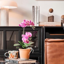 Avoeco Artificial Real Touch Orchid Plant – 15" Faux Phalaenopsis in Pot – Highly Realistic Silk Orchid Flower & Leaf Texture for Home, Office,Shop & Wedding Décor (Fuchsia, 15“)