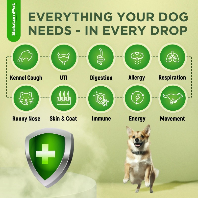 SalutemPet Natural Dog Antibiotics | UTIs, Allergies, Joints, Digestion |