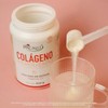 PACALLI Colágeno Hidrolizado en Polvo 300g - Tipo I y