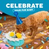 Outward Hound Hide A Birthday Cake, Plush Puzzle Birthday Themed