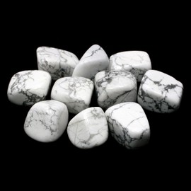 Howlite Howlith Kristall - Einzelner Stein (20-25mm)