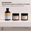 Davines Nourishing Hair Building PakTratamiento intensivo reparador250 ml