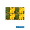 Happy Bath Dubore Freesia Soap 100g x 4 pieces / 두보레 후리지아 비누 100g X 4개