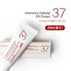 Erti 37 Cream Intensive Cellular ER Skin Tone Up Cream