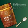Creatine Powder Supplement for Men & Women – Supports Muscle