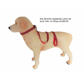 BUDDYPACK Trendy Dog Collars with Click Fastener Adjustable Size XS-XL Many Colourful Colours (S (35-50 cm), Red/Yellow/Blue/Black