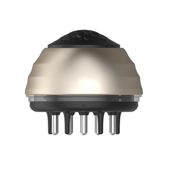 RoseFlower Scalp Massage Brush, Scalp Applicator Comb with Function Application