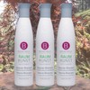 BERRYWELL Volume Shampoo Set Hairstyle Shampoo Set Volume Hair Shampoo 3 Pieces 250ml / BERRYWELL 볼륨샴푸세트 헤어스타일 샴푸세트 볼륨 헤어 샴푸 3개 250ml