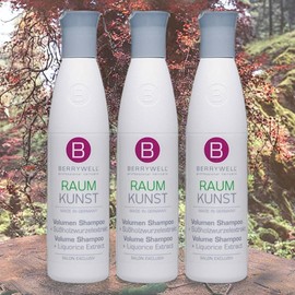 BERRYWELL Volume Shampoo Set Hairstyle Shampoo Set Volume Hair Shampoo 3 Pieces 250ml / BERRYWELL 볼륨샴푸세트 헤어스타일 샴푸세트 볼륨 헤어 샴푸 3개 250ml