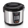 Hamilton Beach Digital Programmable Rice and Slow Cooker & Food