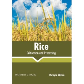 Rice: Cultivation And Processing