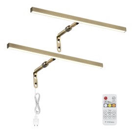 Pasoar 2 Pack LED Picture Lights for Paintings Plug in, 16 Inch 4W Adjustable Art Light Gallery Wall Light for Display Art Work, Antique Brass Finish, CRI90+, 3000K Warm White