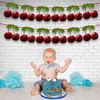 Seyal® Cherry Garland Decoration