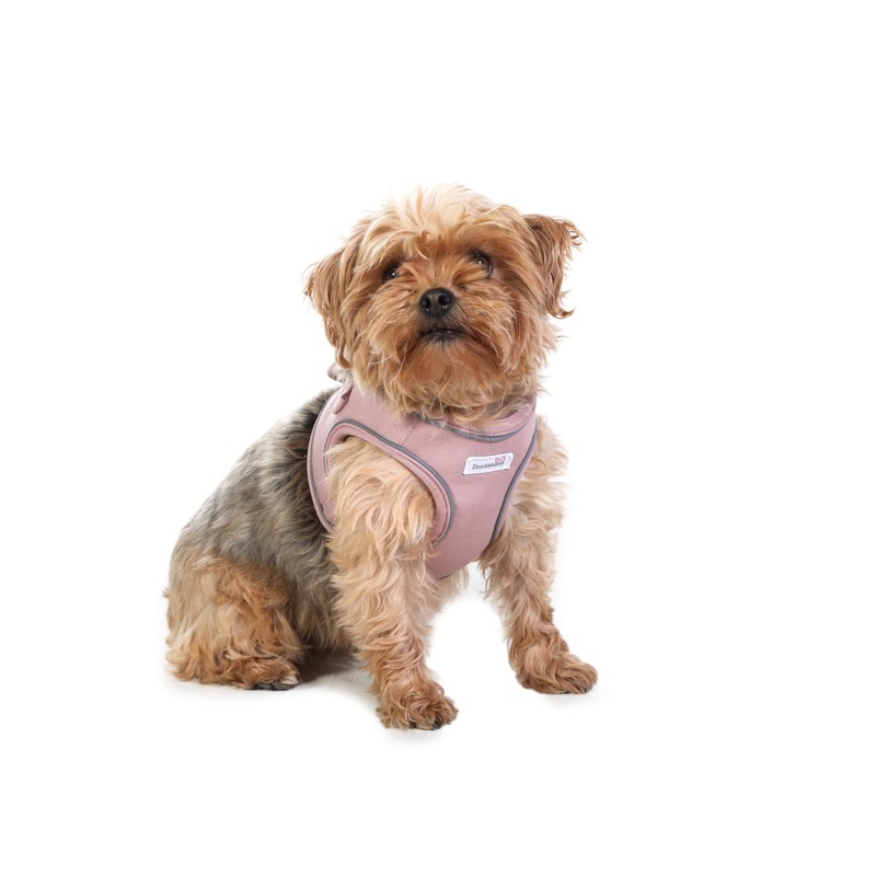 Doodlebone Dinky Dog Snappy Harness (Chalky Pink, 2)