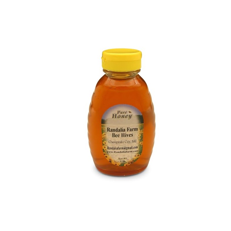 Randalia Bee Hives Raw Maryland Honey, 16oz