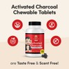 Charcoal House Chewable Activated Charcoal Tablets for Kids | Natural,