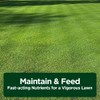 Advanced 16-4-8 Lawn Fertilizer - Liquid Lawn Food Spring &