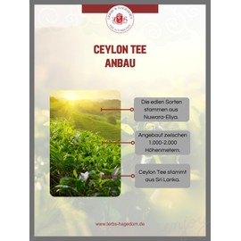 Lerbs & Hagedorn, Ceylon Tea OP Kenilworth, High-Quality Aromatic Flavour, 250 g (approx. 21 Litres) Grown to 580 to 640 m Height