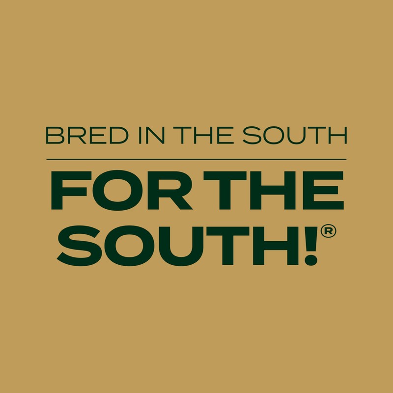 Scotts EZ Seed Patch & Repair Southern Gold Blend for
