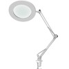 10X Magnifying Glass with LED Light Flexible Arm Brightness Adjustable