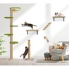 Floor to Ceiling Cat Tree for Kittens, Wall Mounted Cat