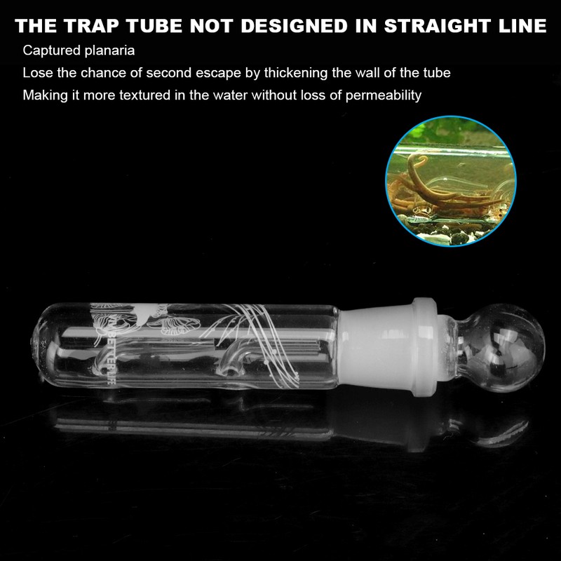 Fish Grass Tanks Glass Beautiful Planarian Catcher High Hardness Lasting
