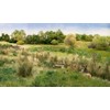 Micro-Mark Woodland Scenics Field Grass - Natural Straw
