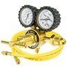 Zistel Nitrogen Regulator with Hose, 0-800 PSI Output Pressure, CGA580
