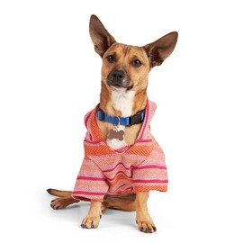 Youly Pink Baja Dog Hoodie, Medium