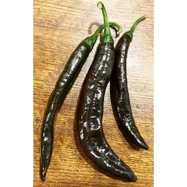 Pasilla Apaseo Little Raisin Chile Oaxacan Chilaca Chili Heirloom Pepper Premium Seeds for Planting Packet