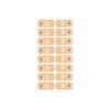 Beauty World Clean Face Lion W 3.7 x H 6.0