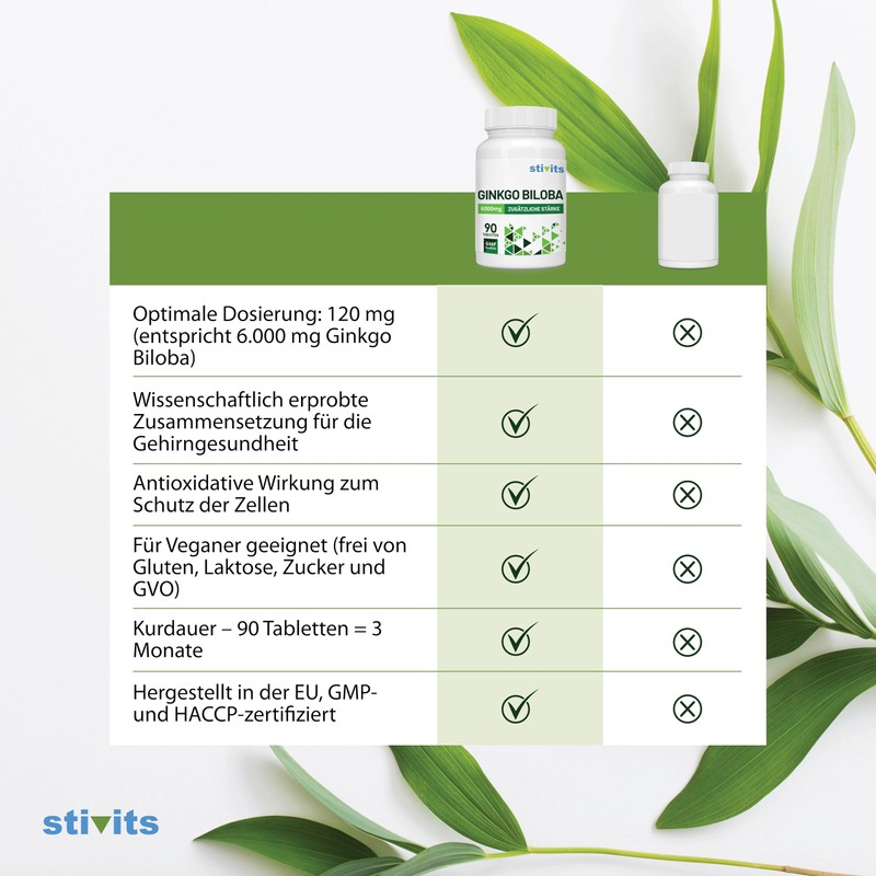 Ginkgo Biloba 6000 mg – 90 vegane Tabletten – Lutein-freier 50:1