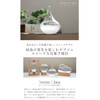 Storm Glass, Weather Forecast, Crystal, Object, Changing Expressions Depending on