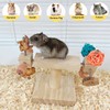 Ornaous Natural Wood Spinning Feeding Toys for Dwarf Hamsters Guinea