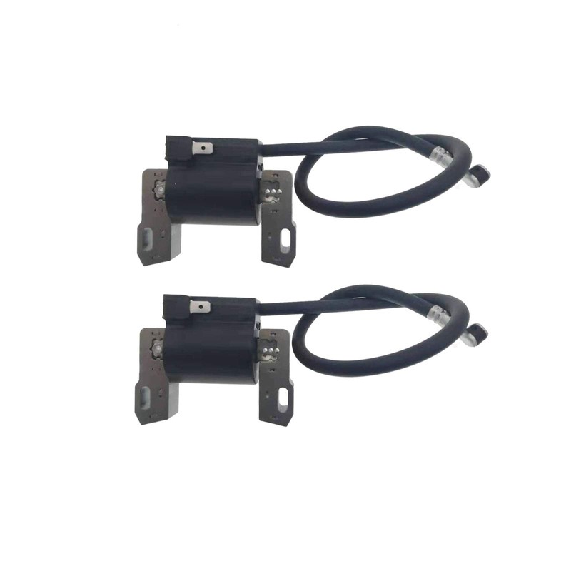 MACHSWON 2PCS Car Engine Ignition Coil Module 691060 799651 For