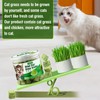 50g Cat Grass Teething Treat, Delicious Cat Grass Teething Snack