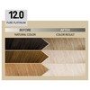 Alfaparf Milano Il Salone Plex Rebuilder Color Kit 12.0 Pure