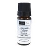 freshskin beauty ltd | 10ml Lollipop Lip Balm Flavour Oil