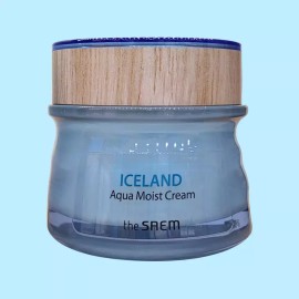 The Saem 더샘 아이슬란드 아쿠아 모이스트 크림 60ml 수분 The Saem Iceland Water Moist Cream 60ml Hydrating