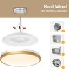 Lightania 13 Inch Flush Mount Ceiling Light with Remote Control